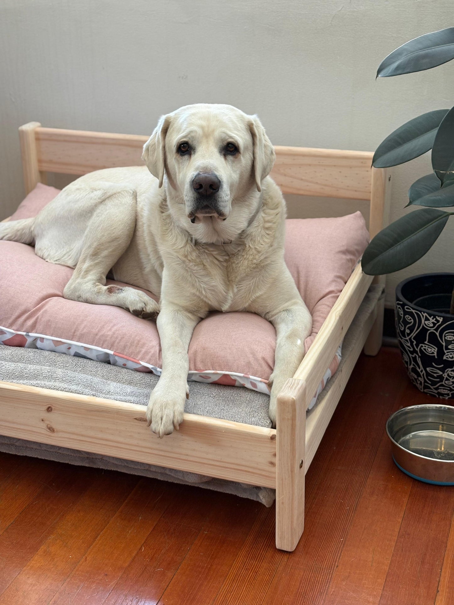Timber Town Solid Pine Doggy Day Bed 🐾